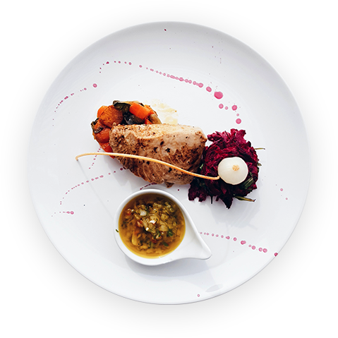dish plate